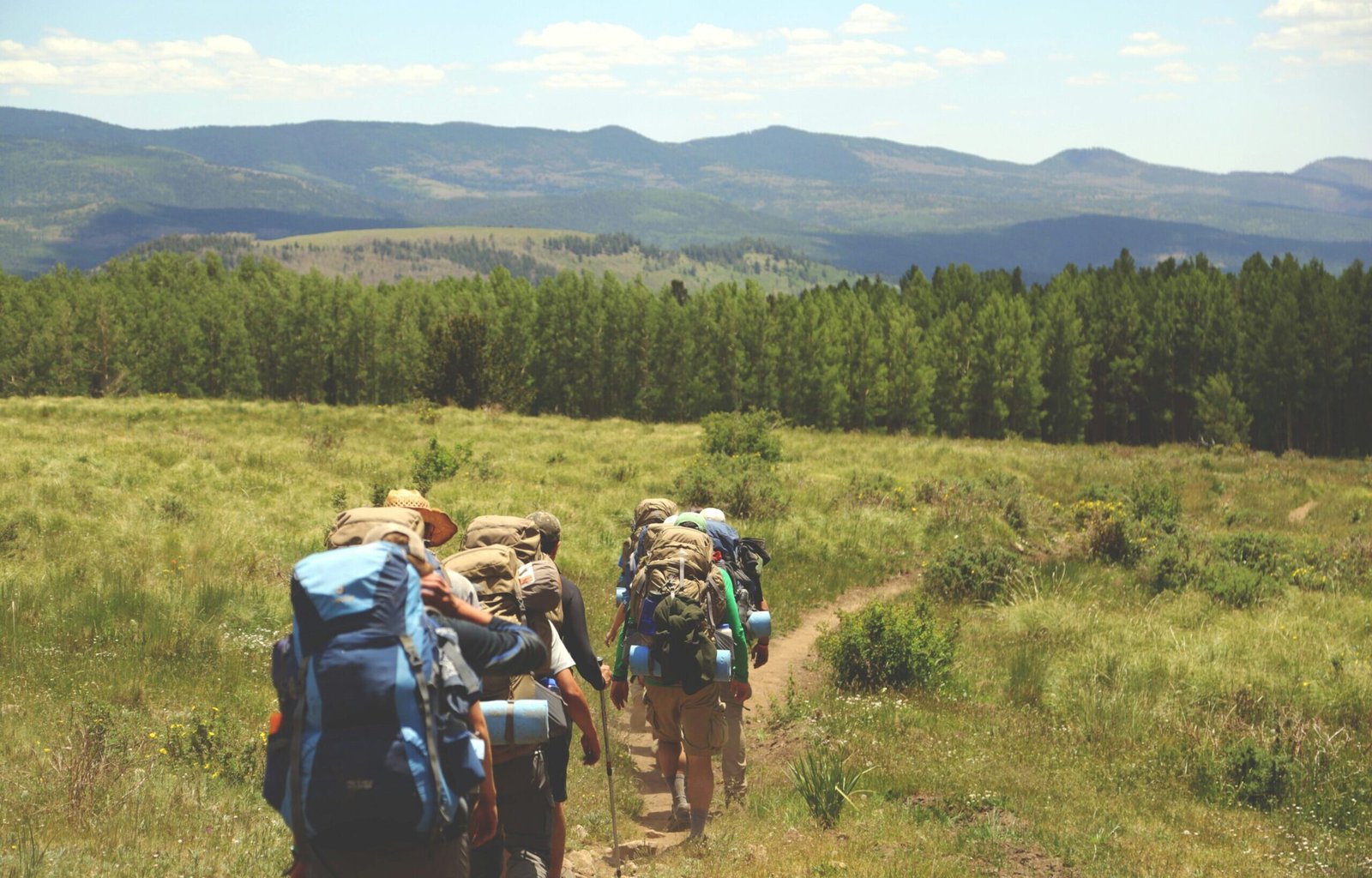 austin-ban-juHayWuaaoQ-unsplash